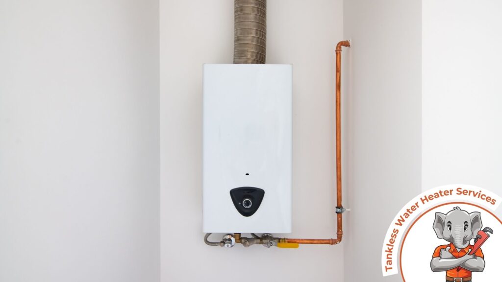 tankless water heater services