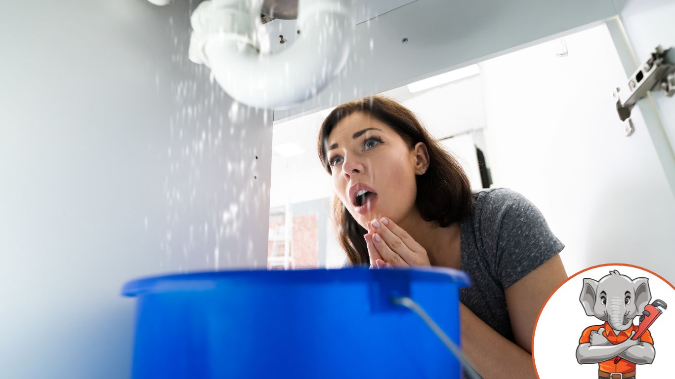 Woman With Emergency Plumbing Sink Leak