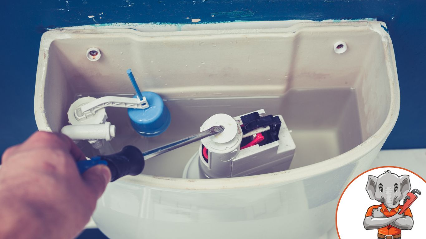 plumber fixing a toilet